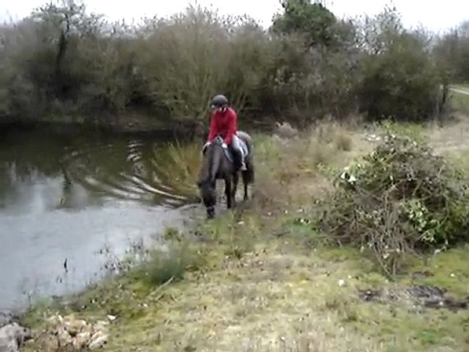 Le poon's passe-partout