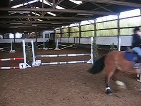 Concours equitation Dodo