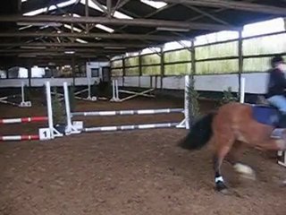 Concours equitation Dodo