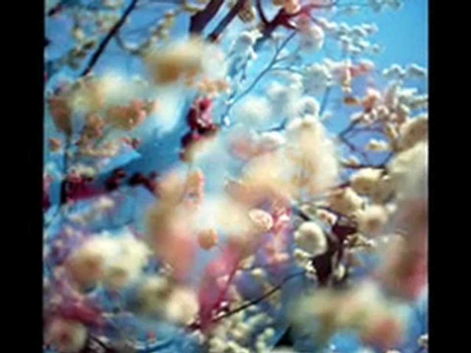 Richard Clayderman - Ode Of Early Spring