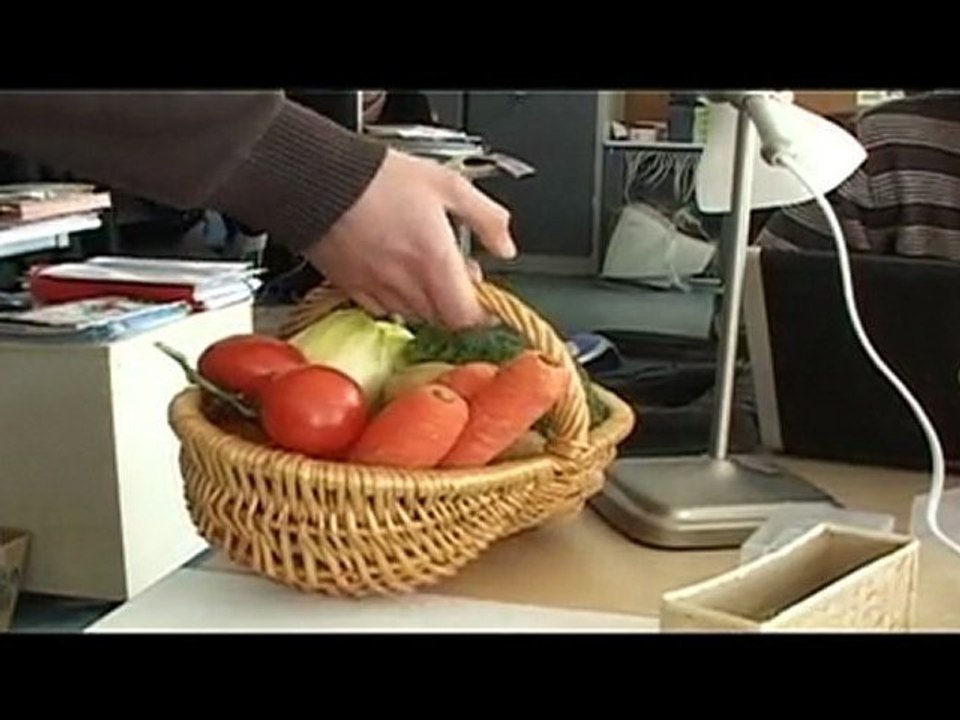 Terra Eco Infocom