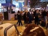 SALON AGRICULTURE  PARIS 2010