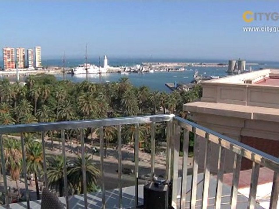 Hotel molina lario, malaga