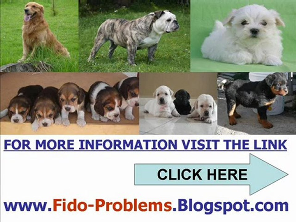 Fido-Problems