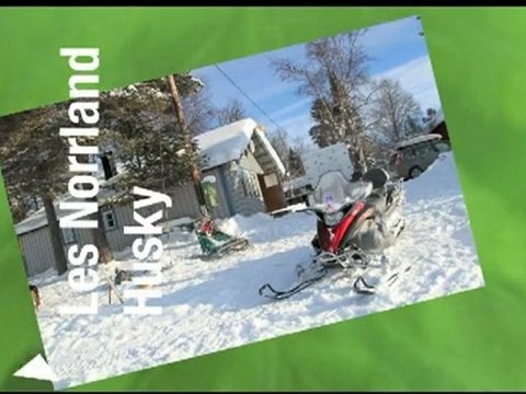 Raid en traineau à chiens à Drevdagen en suède. Norrland