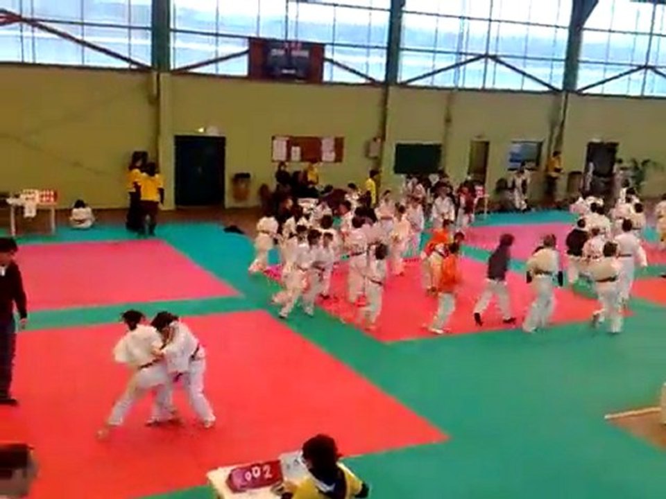Messaouda judo chatenay malabry (chatillon 2010) N°2