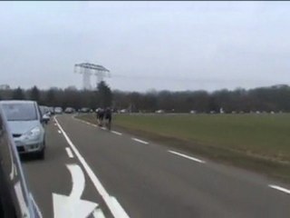 Versailles 13 et 14 mars 2010