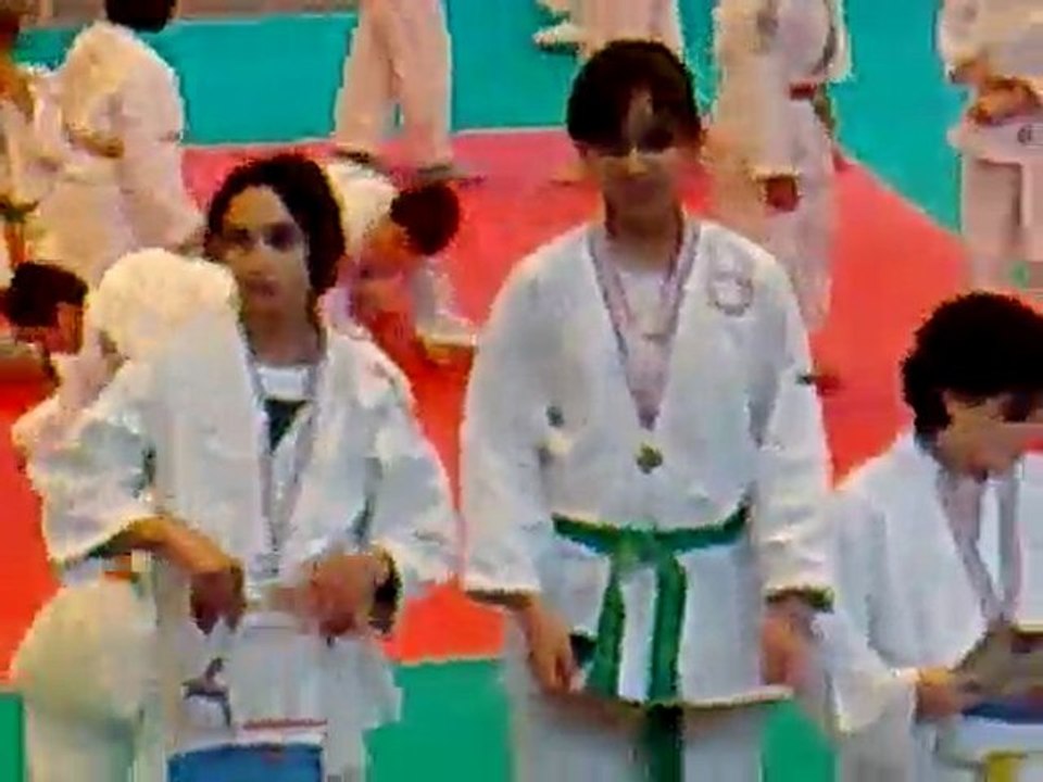 Messaouda judo chatenay malabry (chatillon 2010) tableau