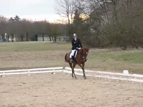 CCE Mourmelon 21 mars 2010 - dress Amateur 2 - Kronos