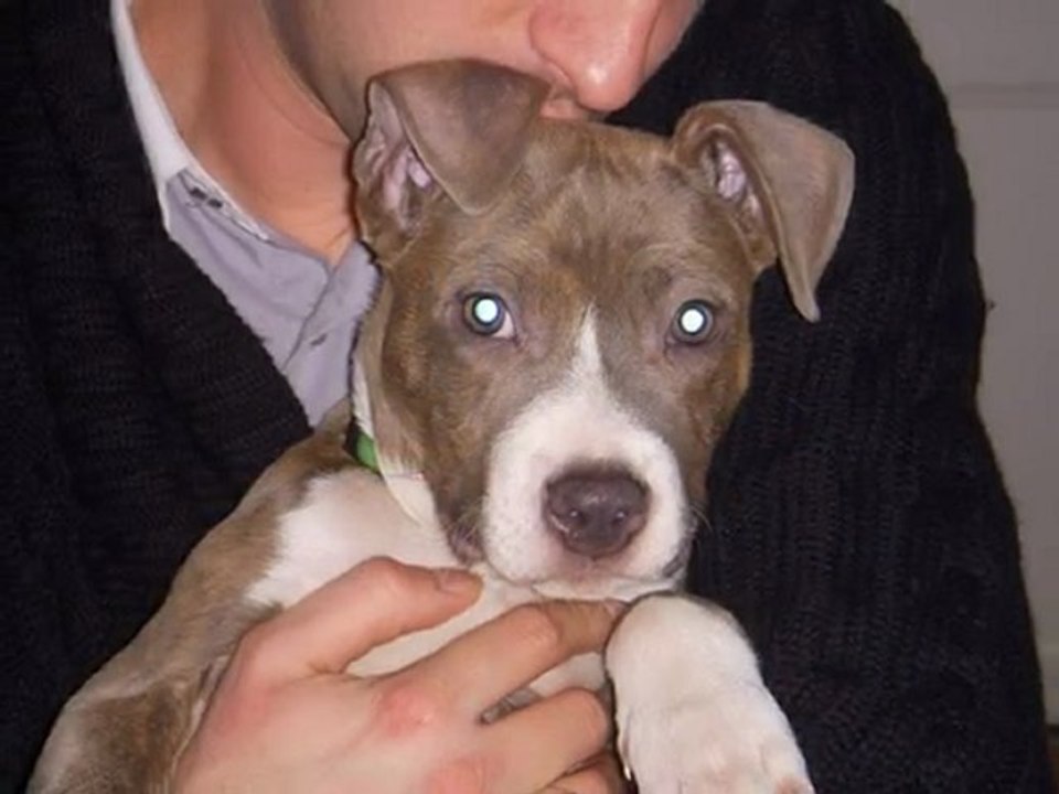 staff de 0 à 5 mois