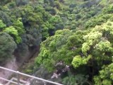 Tai tam reservoir