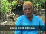 Fish and fisheries management Part 2 of 4 (Sinhala)