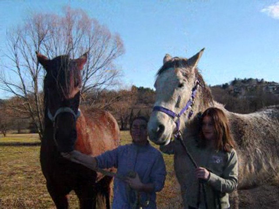 Nos doudounes