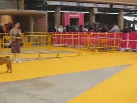 Chouchou Girona Mars 2010