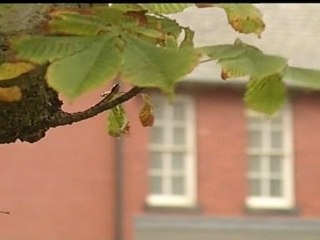 Soham murderer back in prison after knife attack