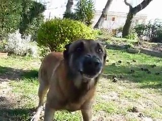 visite Slash st martin de crau