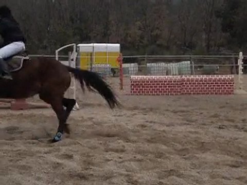 Concour du var au 80 cm du 21 Mars