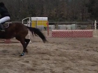 Concour du var au 80 cm du 21 Mars
