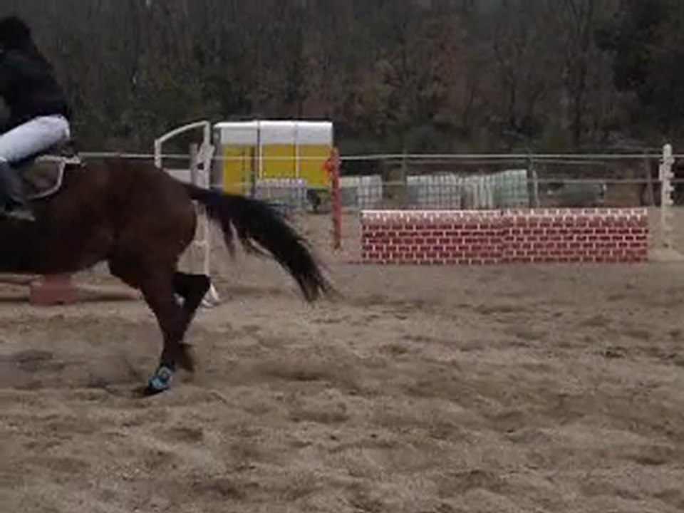 Concour du var au 80 cm du 21 Mars