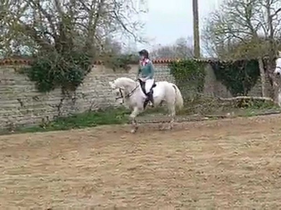 Détente CSO St Sauveur 21/03/2010 Jimbo & Juliette