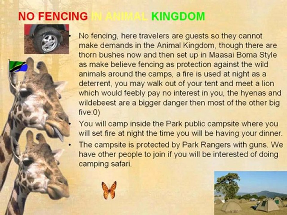 TANZANIA BUDGET CAMPING SAFARI JOINING OTHERS 4 DAY ...