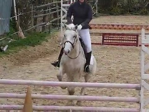 CSO St sauveur 21/03/2010 C2 Jimbo & Anne