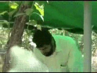 MUHTELİF-3 ALPARSLAN KUYTUL