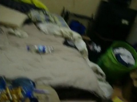 vraiment nimporte koi loll