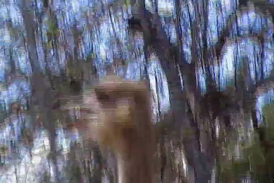 delmo e ana lucia na casa de mas de 200 anos em caldas novas