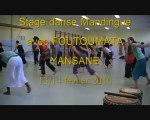 VLM Stages danse africaine Le Relecq-Kerhuon/Brest 2010