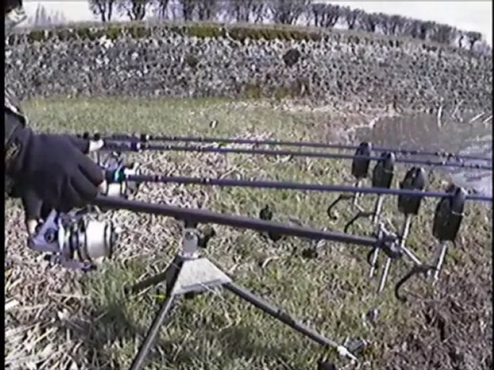 départs carpe en direct !