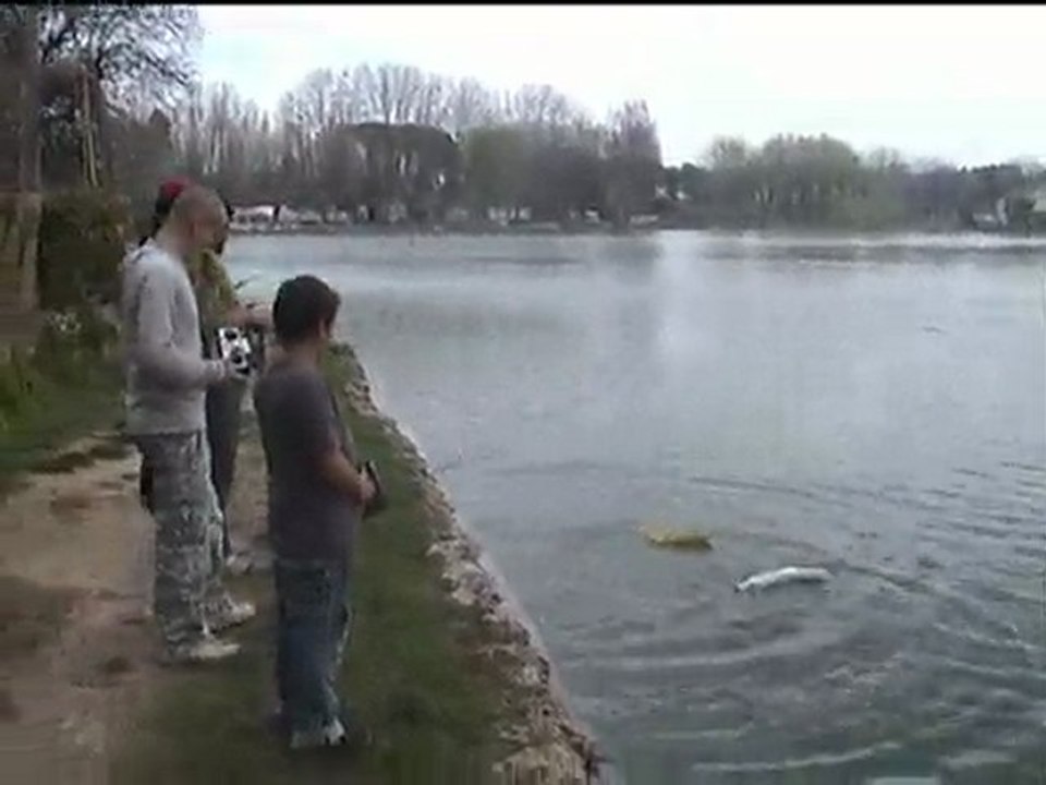 gecko cup 21032010