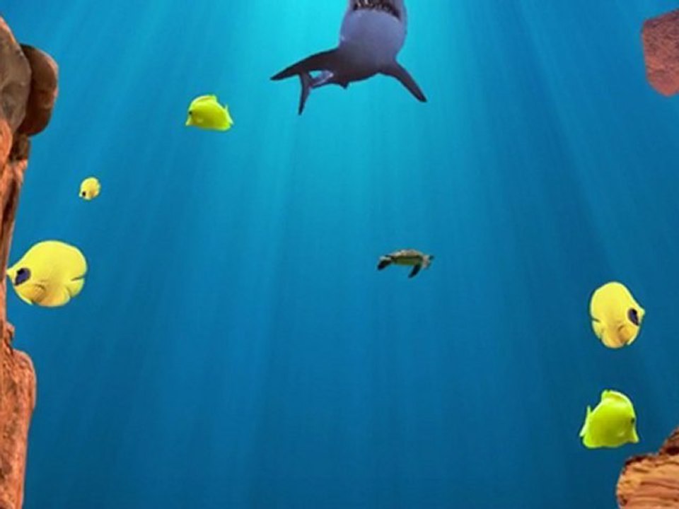 Shark Attack