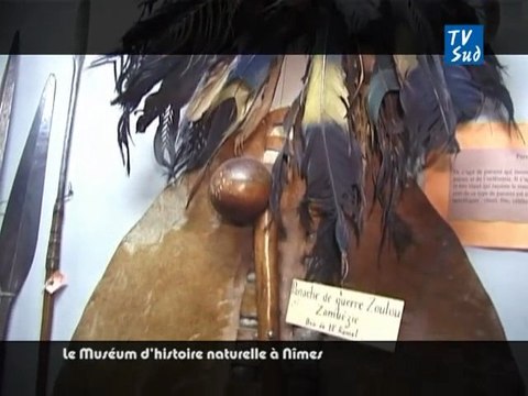 Le Muséum d'Histoire Naturelle à Nîmes