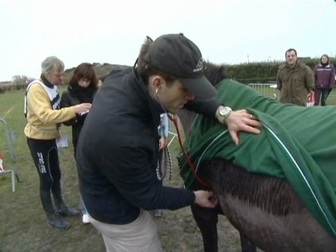 Calaisis TV: 8 éme édition du Raid Equestre à Bleriot-Plage