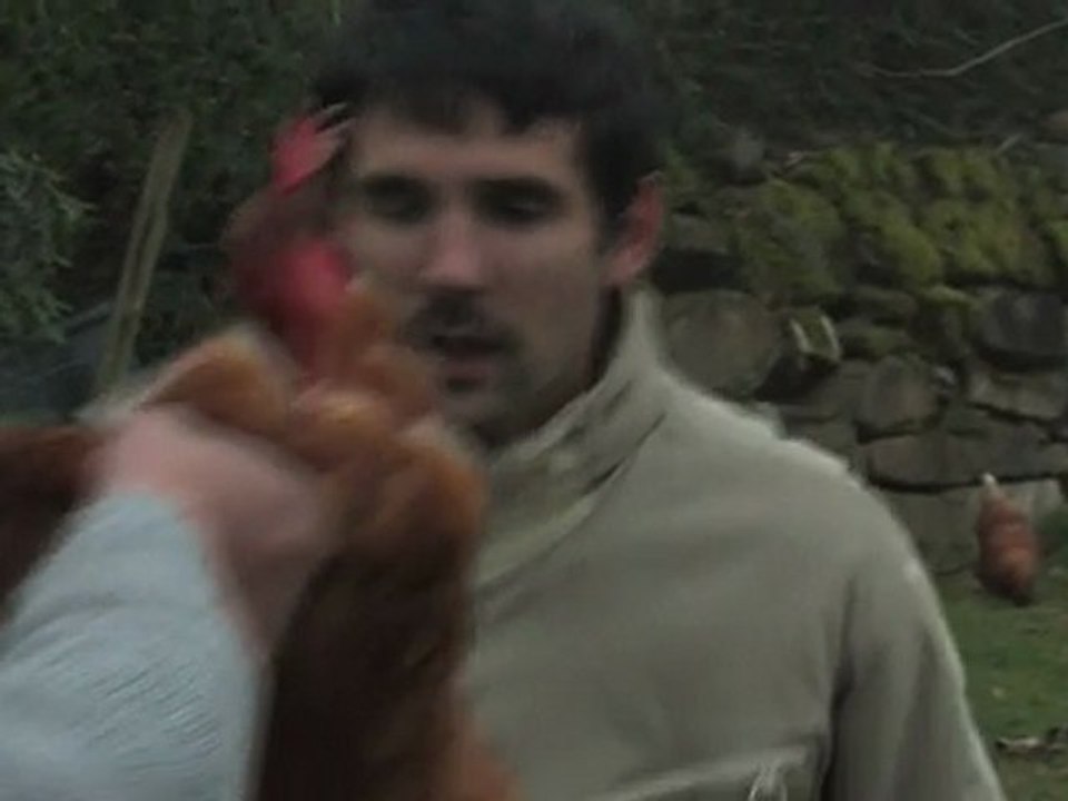 SIG Sauer Pro / Das Plateau > teaser 1