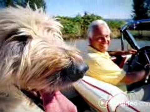 Mid Wilshire Apartments in Los Angeles, CA - ForRent.com