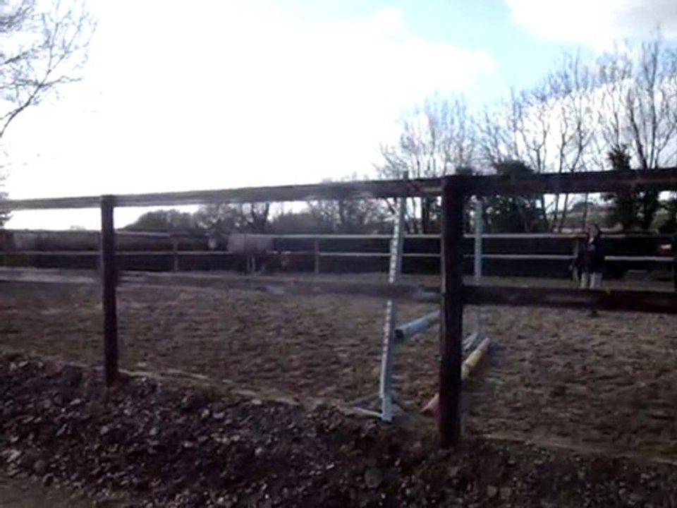 Ceniza champion de cso