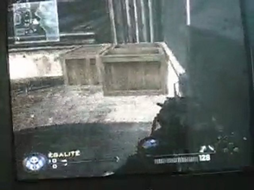 Bugs Estate Cod 6