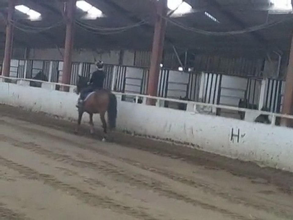 sur balou positionner, mes mains et apprendre a le diriger