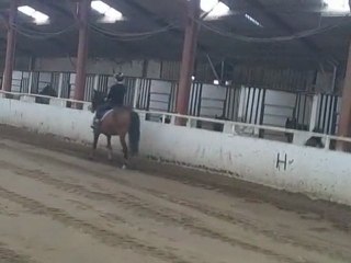 sur balou positionner, mes mains et apprendre a le diriger