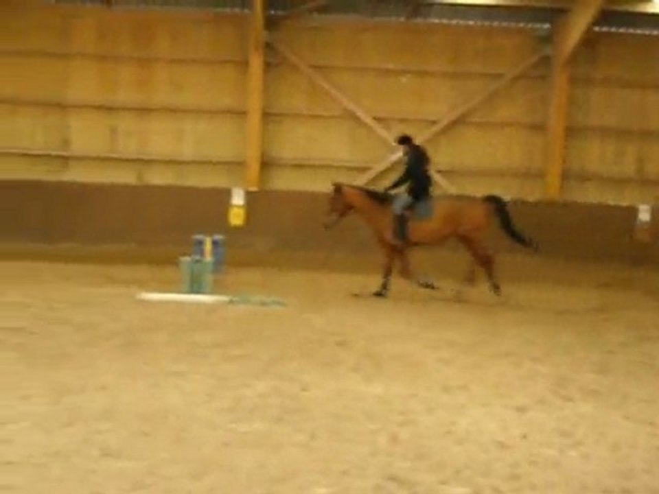 Opus et Salma en saut (cavalettis)