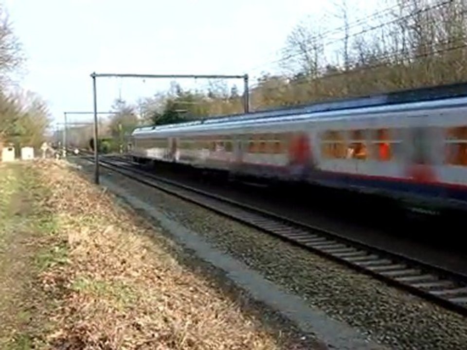 TRAIN