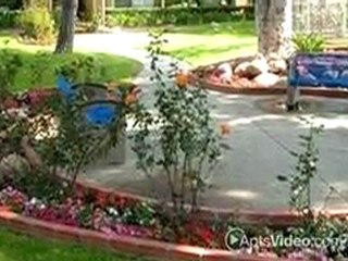 Briarwood Apartments in Tustin, CA - ForRent.com