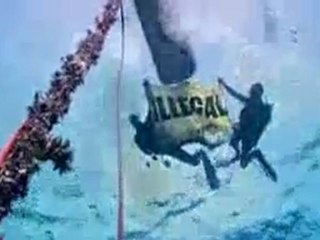 The Truth About FADs (Fish Aggregating Devices