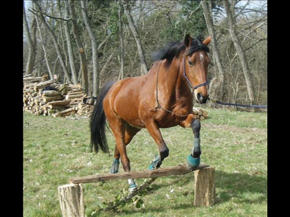 Jam - 20.03.10 & 21.03.10