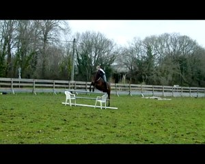 laita obstacle 22 03 2010