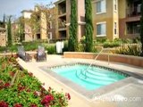 Casoleil Apartments in San Diego, CA - ForRent.com