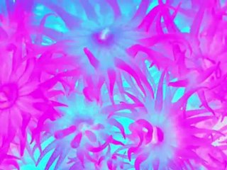 Elton D - I Know (Teaser) - Out on DID Records in April 21st