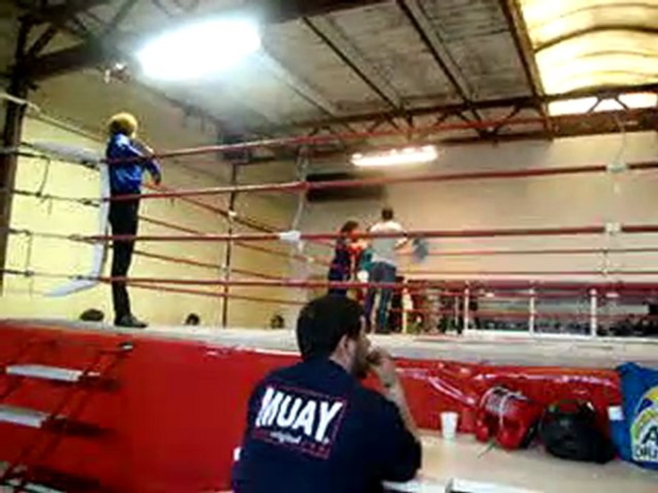 Knock Out Weert